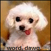th_worddawg.gif