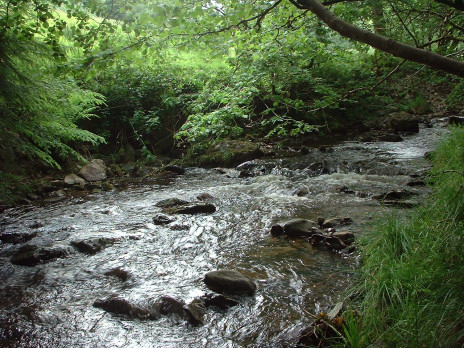 DSCF0008.jpg