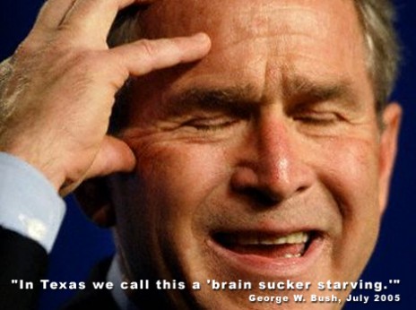 bush_thinking.jpg