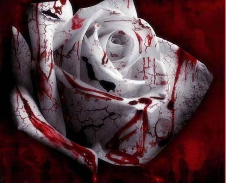 BloodRose_web.jpg