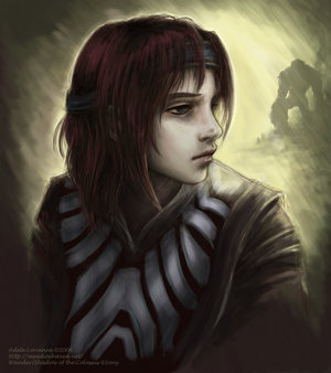 Wander_by_Saimain.jpg