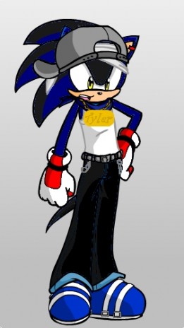 SeanthehedgehogJPG.jpg