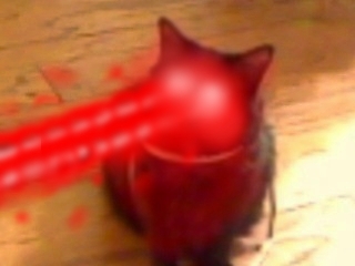 ImmaFirinMahKitteh_______.jpg