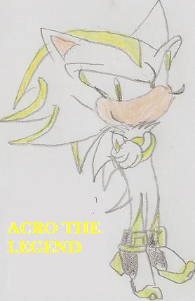 acro_the_hedgehog_by_djdra.jpg