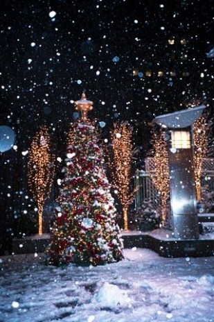 iphone_christmas_wallpaper.jpg