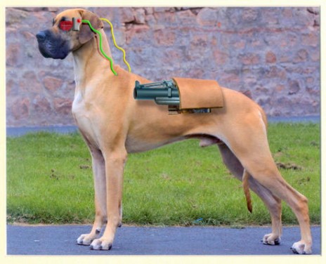 cyberdog.jpg