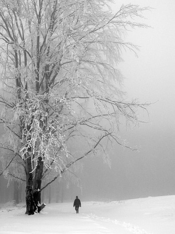 0110_kingdom_of_winter.jpg