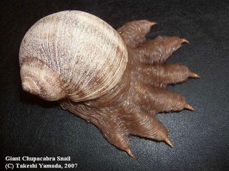 giant_snail.jpg