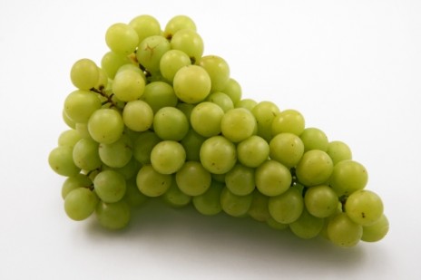 s_grapes_1_.jpg