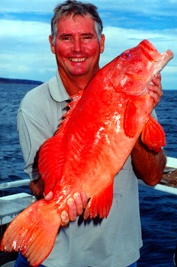 coral_trout.jpg