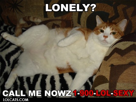 Lolcats___Lonely.jpg