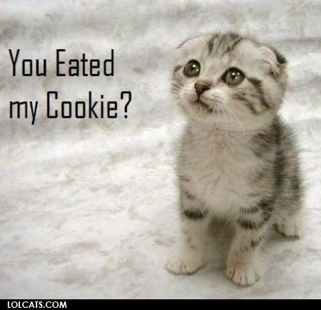 lolcatsdotcom6n33puk2oz8l1.jpg
