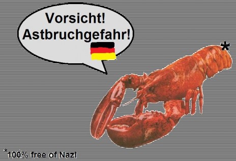 lobster_500.jpg