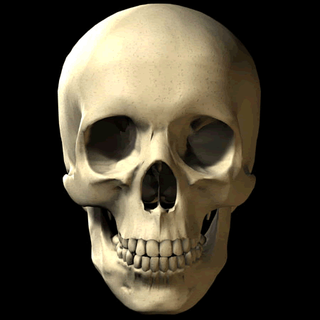 skull_gif.gif