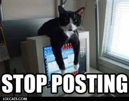 lolcatsdotcomttbwex6me2ie.jpeg
