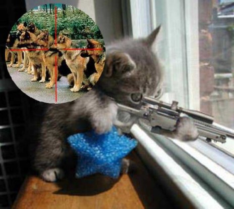 THECHOSENONE_Sniper20kitte.jpg