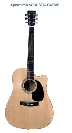 AcousticGuitar_LG.jpg