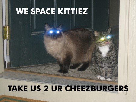 lolcats_.jpg