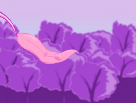 leaf.JPG