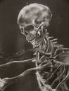 skull.jpg