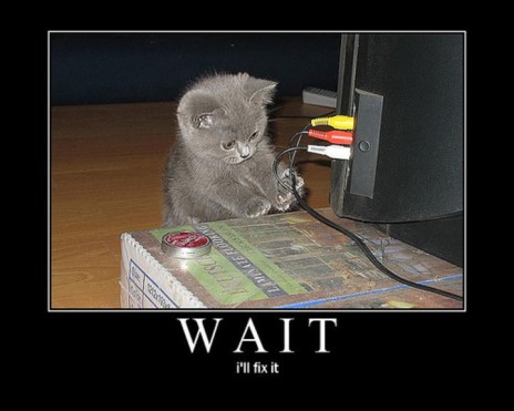 funny_pictures_of_cats_dot.jpg