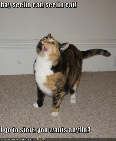 funny_pictures_ceiling_cat.jpg