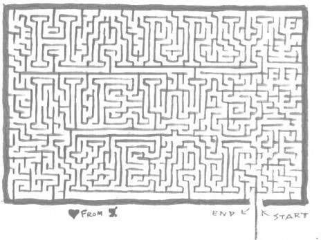 maze_ny_small.jpg