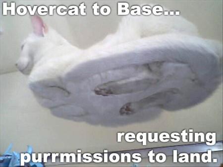 lolcatsdotcomoh5o6d9hdjcaw.jpg