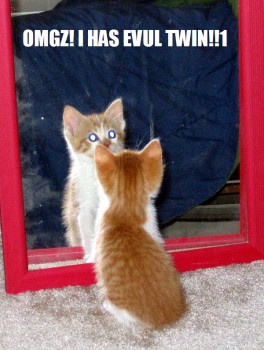 lolcatsdotcomvvykct8lyssbj.jpg