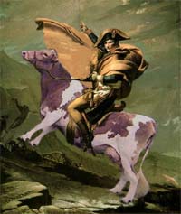 napoleon_camplex_200.jpg
