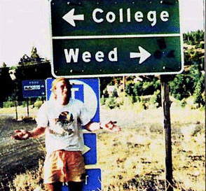 weed.gif