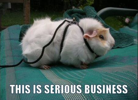 business.jpg