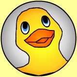 duckie.jpg