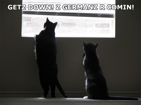 lolcatsdotcomhi13pg6eq8yff.jpg