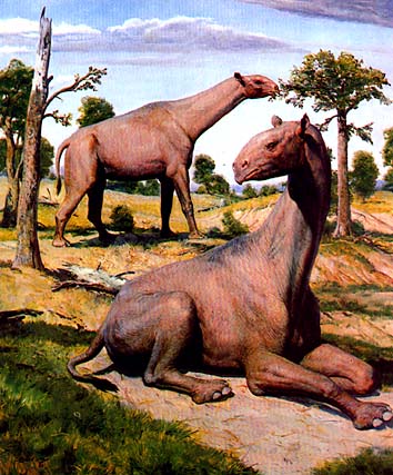 indricotherium4.jpg