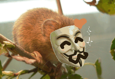 anonnymouse3.gif