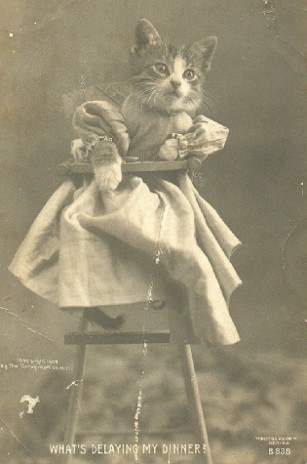 Delayingmydinnerpostcard.jpg