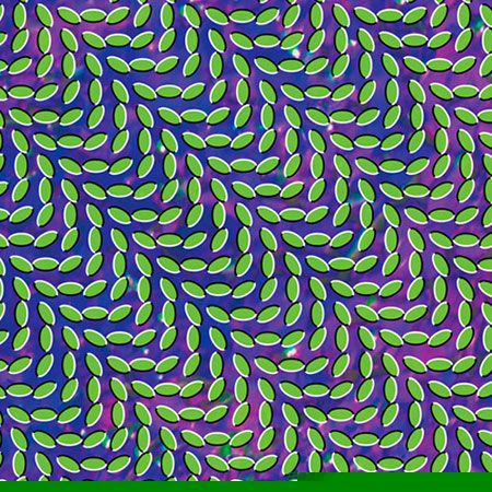 Animal_collective_merriwea.jpg