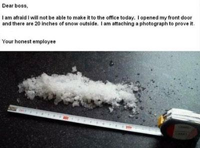 20_inches_of_snow.jpg