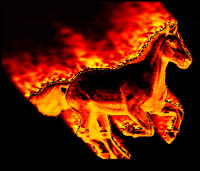 FireHorse.jpg