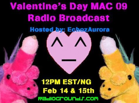 V_day_broadcast_fin.JPG