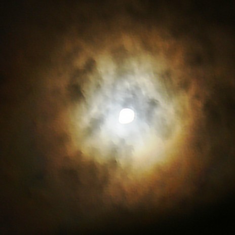 DSC09669.JPG