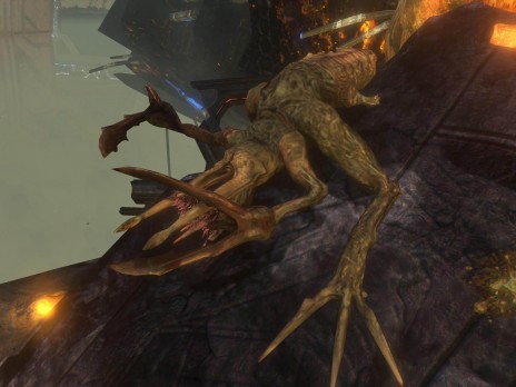 Flood_Stalker.jpg