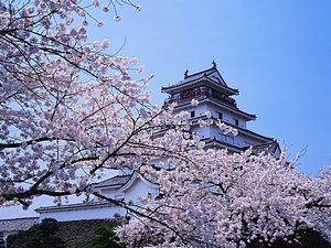 _5Bwallcoo_com_5D_1920X144.jpg