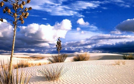desert_9.jpg