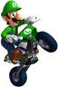 small_luigi_pic.jpg