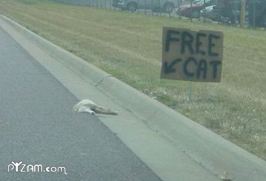 freecat.jpg