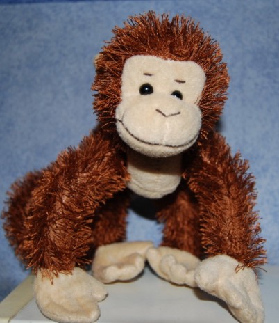 monkey.jpg