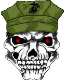 th_skull.gif