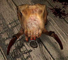 headcrab.jpg